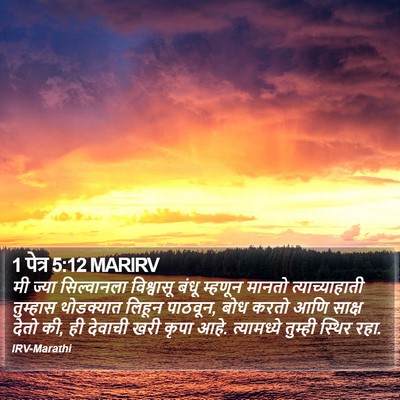 1 पेत्र 5:12 MARIRV Bible Verse Image