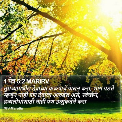 1 पेत्र 5:2 MARIRV Bible Verse Image