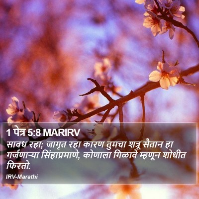 1 पेत्र 5:8 MARIRV Bible Verse Image