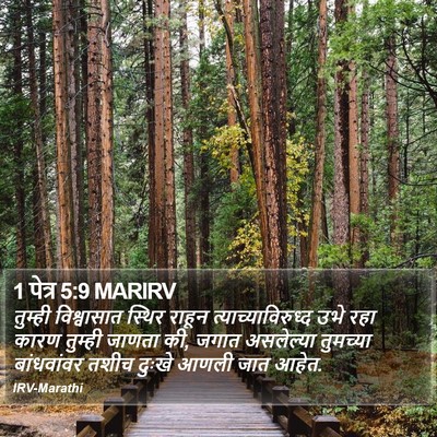 1 पेत्र 5:9 MARIRV Bible Verse Image