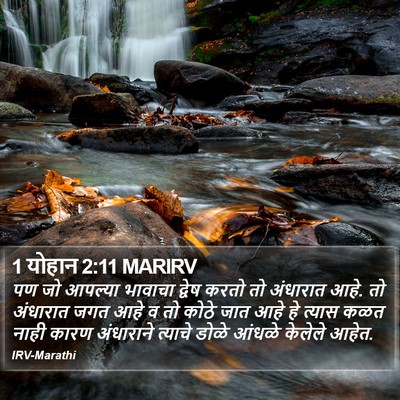 1 योहान 2:11 MARIRV Bible Verse Image