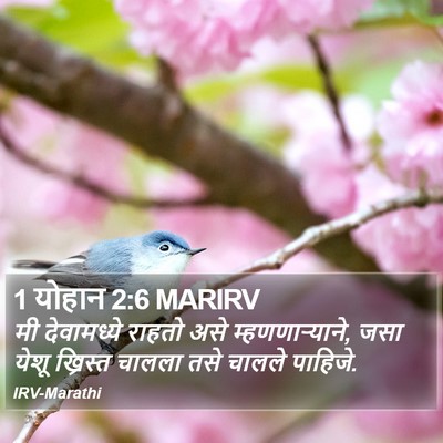 1 योहान 2:6 MARIRV Bible Verse Image