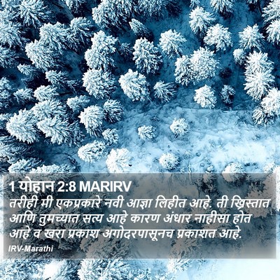 1 योहान 2:8 MARIRV Bible Verse Image