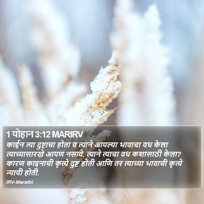 1 योहान 3:12 MARIRV Bible Verse Image