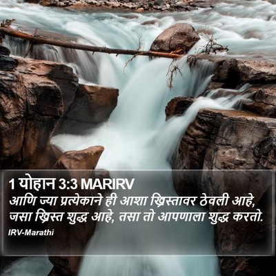 1 योहान 3:3 MARIRV Bible Verse Image