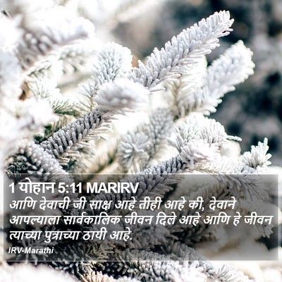 1 योहान 5:11 MARIRV Bible Verse Image