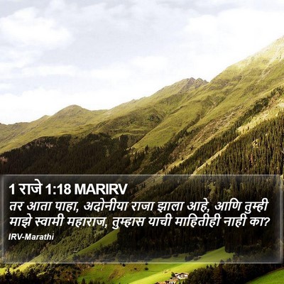 1 राजे 1:18 MARIRV Bible Verse Image