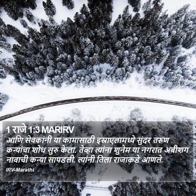1 राजे 1:3 MARIRV Bible Verse Image