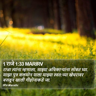 1 राजे 1:33 MARIRV Bible Verse Image