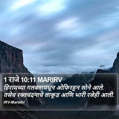 1 राजे 10:11 MARIRV Bible Verse Image