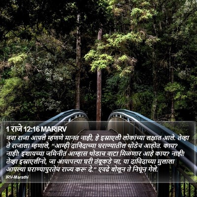 1 राजे 12:16 MARIRV Bible Verse Image