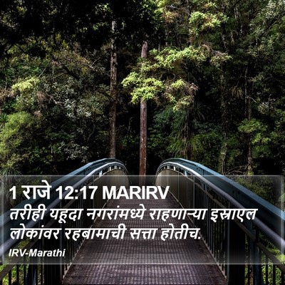 1 राजे 12:17 MARIRV Bible Verse Image