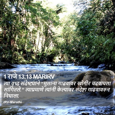 1 राजे 13:13 MARIRV Bible Verse Image