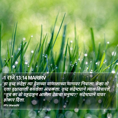 1 राजे 13:14 MARIRV Bible Verse Image