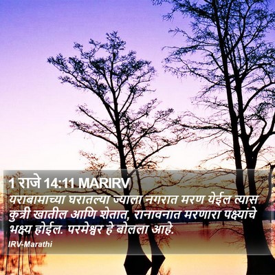 1 राजे 14:11 MARIRV Bible Verse Image