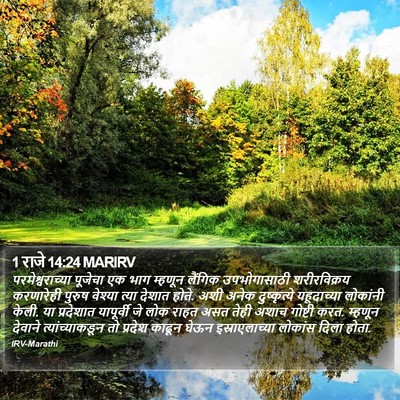 1 राजे 14:24 MARIRV Bible Verse Image