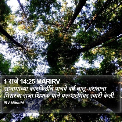 1 राजे 14:25 MARIRV Bible Verse Image