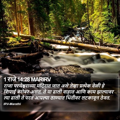 1 राजे 14:28 MARIRV Bible Verse Image