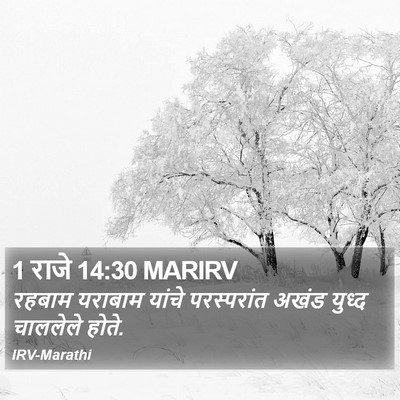 1 राजे 14:30 MARIRV Bible Verse Image