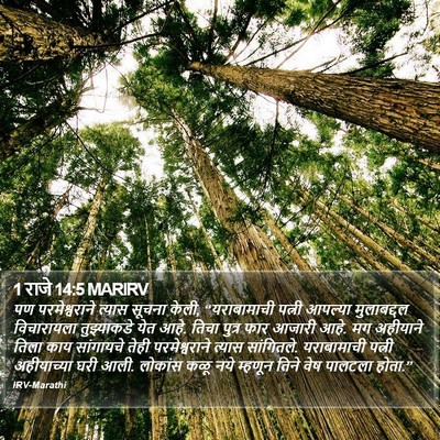 1 राजे 14:5 MARIRV Bible Verse Image