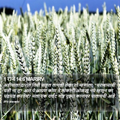 1 राजे 14:6 MARIRV Bible Verse Image