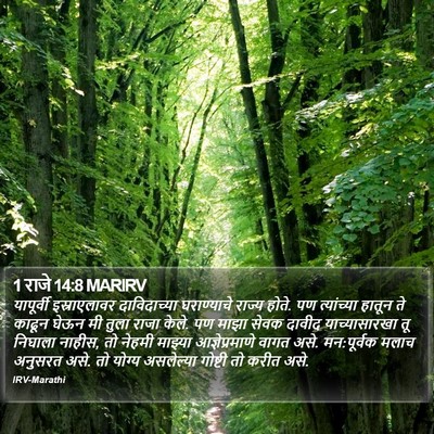 1 राजे 14:8 MARIRV Bible Verse Image