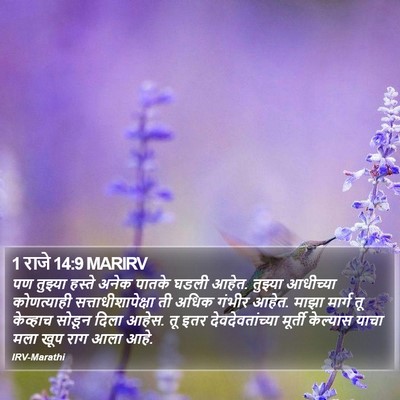 1 राजे 14:9 MARIRV Bible Verse Image