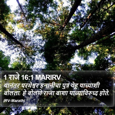 1 राजे 16:1 MARIRV Bible Verse Image