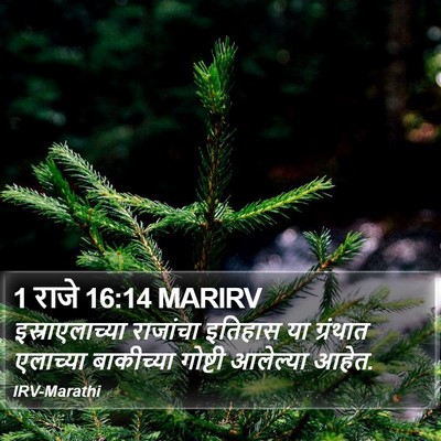 1 राजे 16:14 MARIRV Bible Verse Image