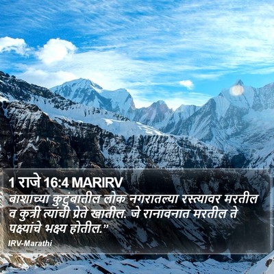1 राजे 16:4 MARIRV Bible Verse Image