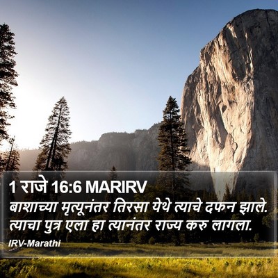 1 राजे 16:6 MARIRV Bible Verse Image