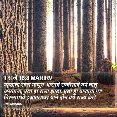 1 राजे 16:8 MARIRV Bible Verse Image