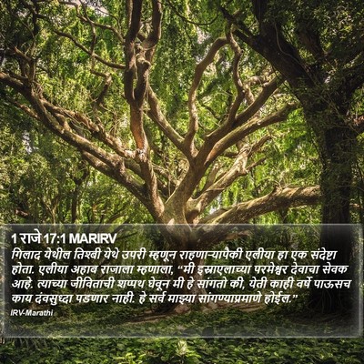 1 राजे 17:1 MARIRV Bible Verse Image