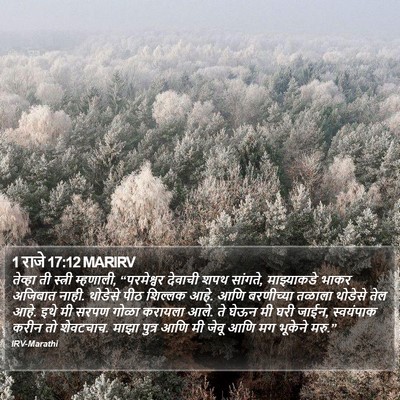 1 राजे 17:12 MARIRV Bible Verse Image