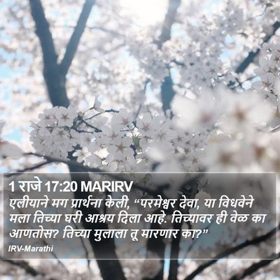 1 राजे 17:20 MARIRV Bible Verse Image