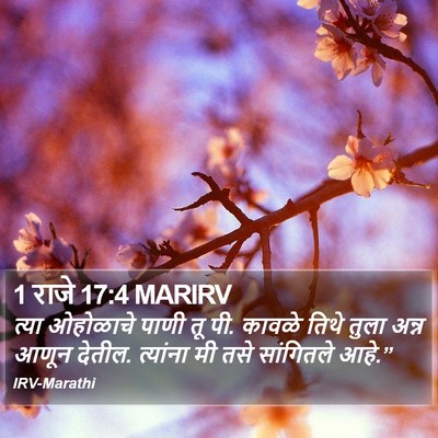 1 राजे 17:4 MARIRV Bible Verse Image