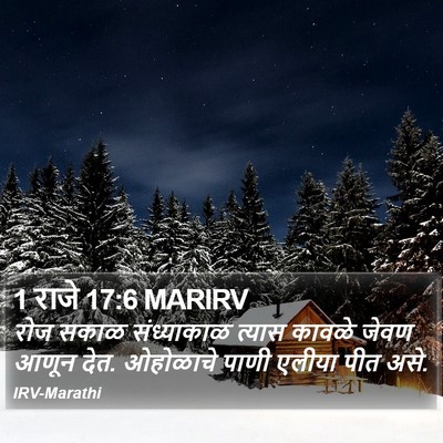 1 राजे 17:6 MARIRV Bible Verse Image