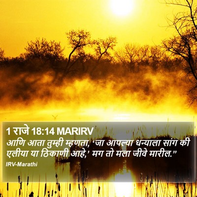 1 राजे 18:14 MARIRV Bible Verse Image