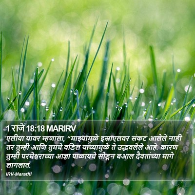 1 राजे 18:18 MARIRV Bible Verse Image
