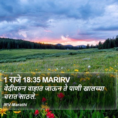 1 राजे 18:35 MARIRV Bible Verse Image