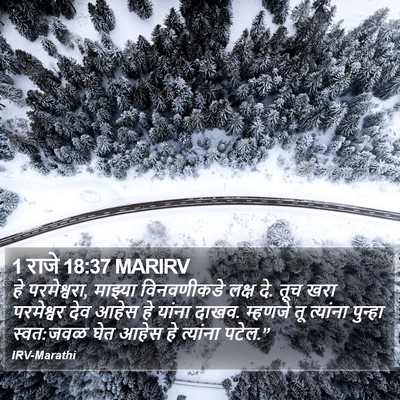 1 राजे 18:37 MARIRV Bible Verse Image