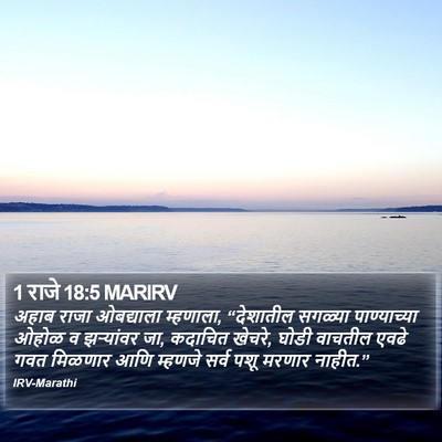 1 राजे 18:5 MARIRV Bible Verse Image
