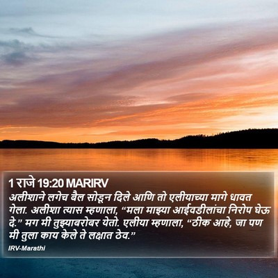 1 राजे 19:20 MARIRV Bible Verse Image