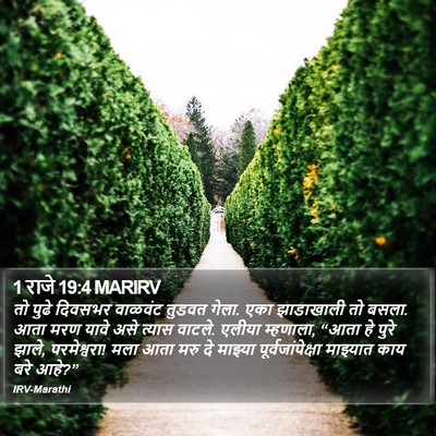 1 राजे 19:4 MARIRV Bible Verse Image