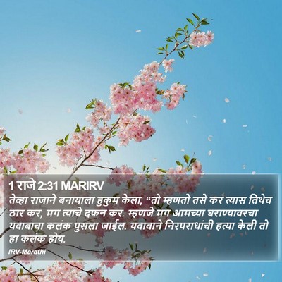 1 राजे 2:31 MARIRV Bible Verse Image