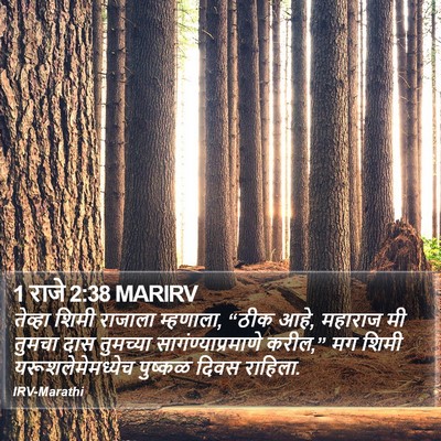 1 राजे 2:38 MARIRV Bible Verse Image