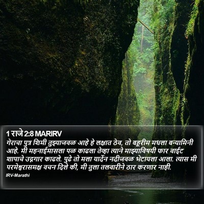 1 राजे 2:8 MARIRV Bible Verse Image