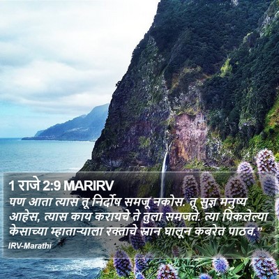 1 राजे 2:9 MARIRV Bible Verse Image