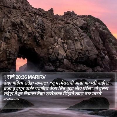 1 राजे 20:36 MARIRV Bible Verse Image