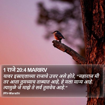 1 राजे 20:4 MARIRV Bible Verse Image